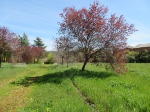 Jardín